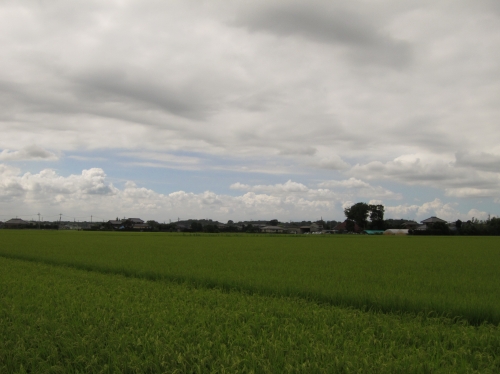 朝の曇り空と静かな通勤風景