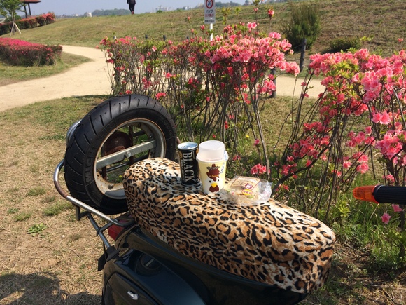 朝食など。