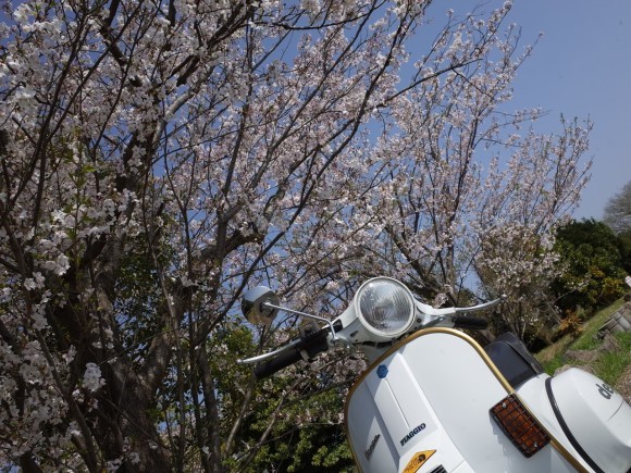 PX200FL1の朝の試運転風景