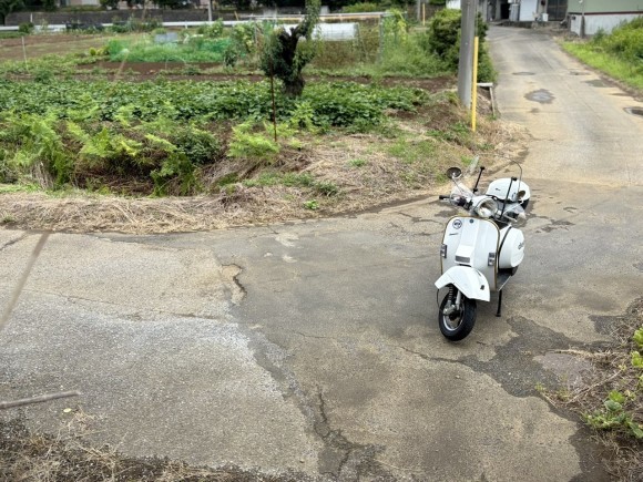 PX200FLの軽い試運転の様子