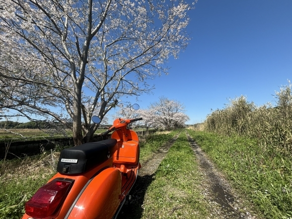 P125Xの試運転の様子