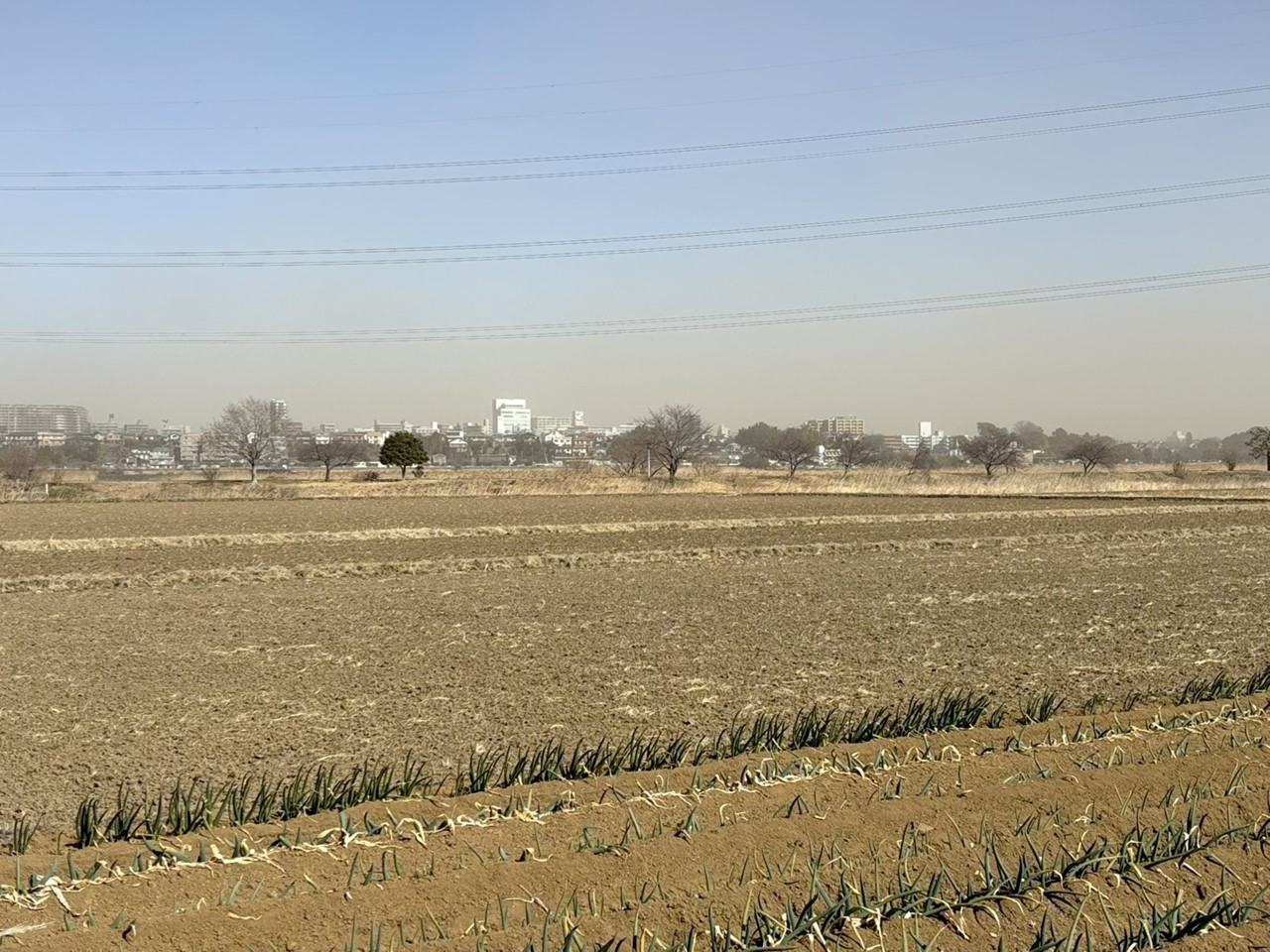 強風で土が舞い上がる手賀沼周辺の風景