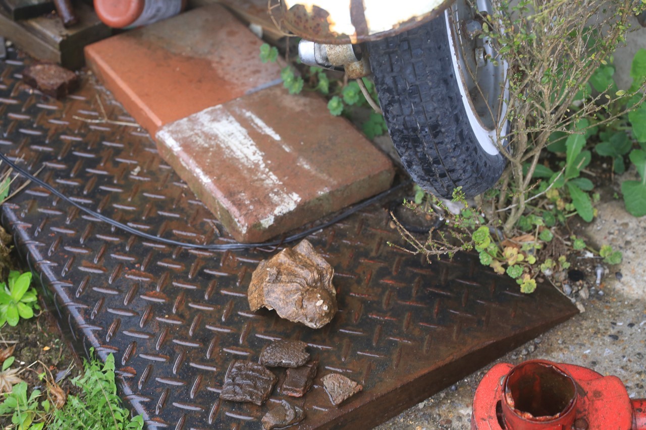 店先に置かれた縄文土器の破片と貝殻