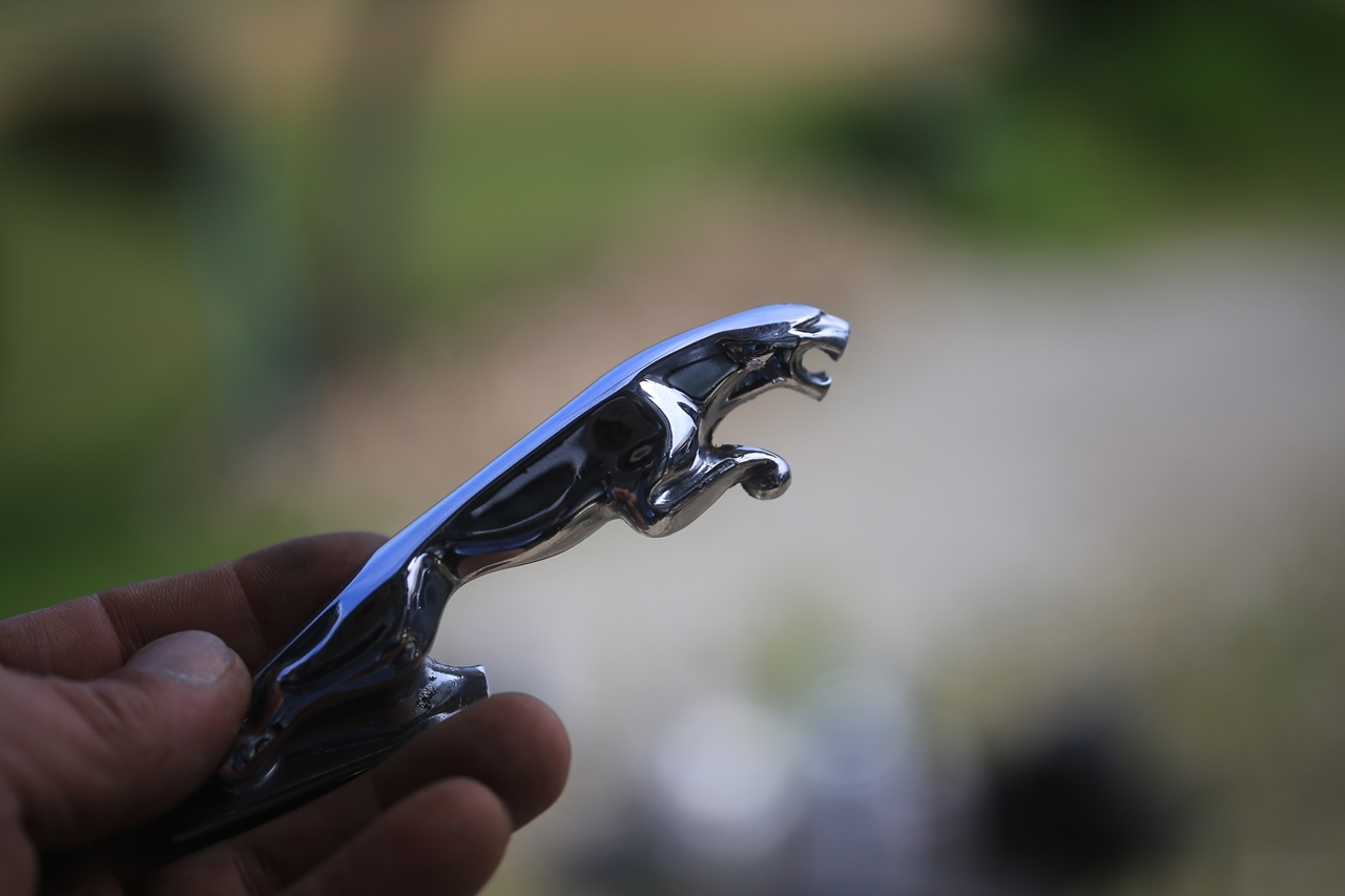 思い出のジャガークレスト
