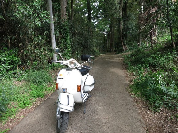 引き取り車両の外観(試運転前の確認)