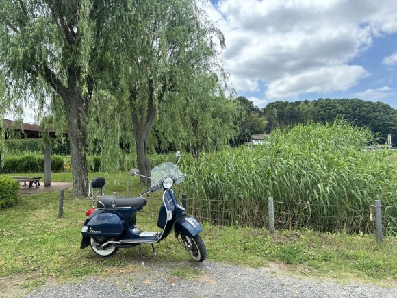朝の試運転に出発するベスパ
