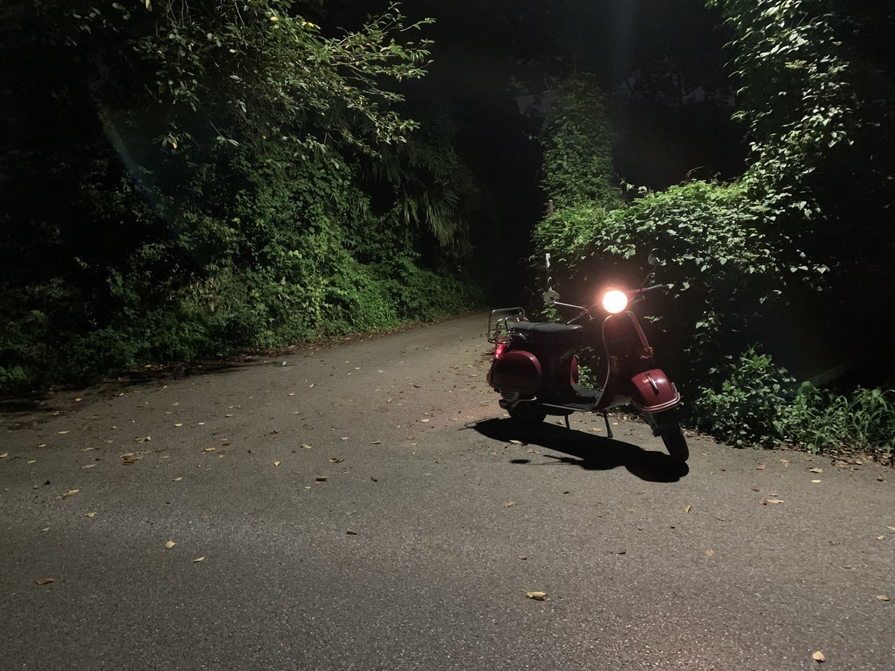 1年ぶりに試運転したP200E
