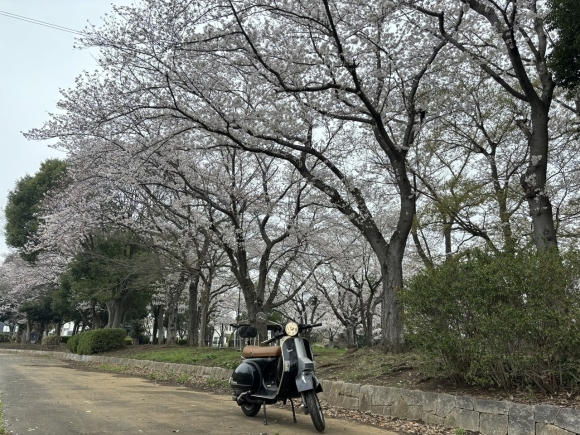 レギュレーター交換後のPX200FL2試運転