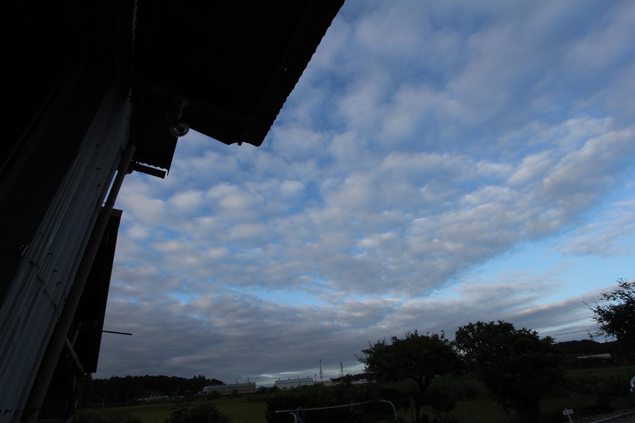 久しぶりに青空が広がる空の様子