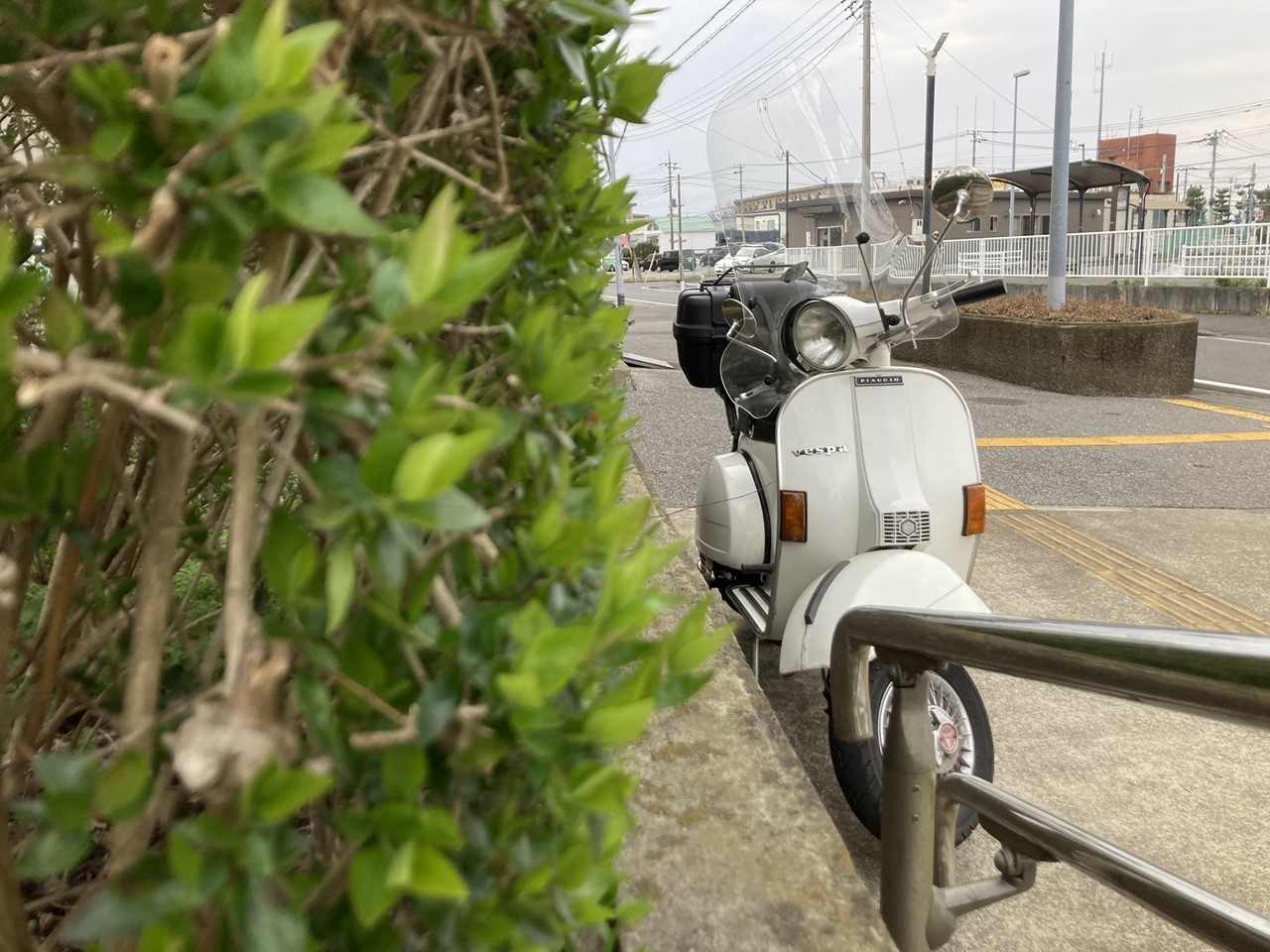 植え込み越しに見える白いベスパ
