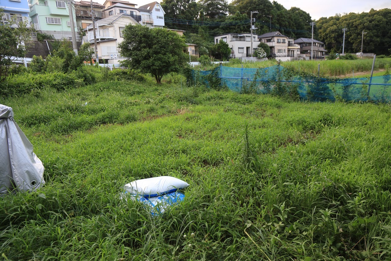 草むらと化したKB農園の畑の様子