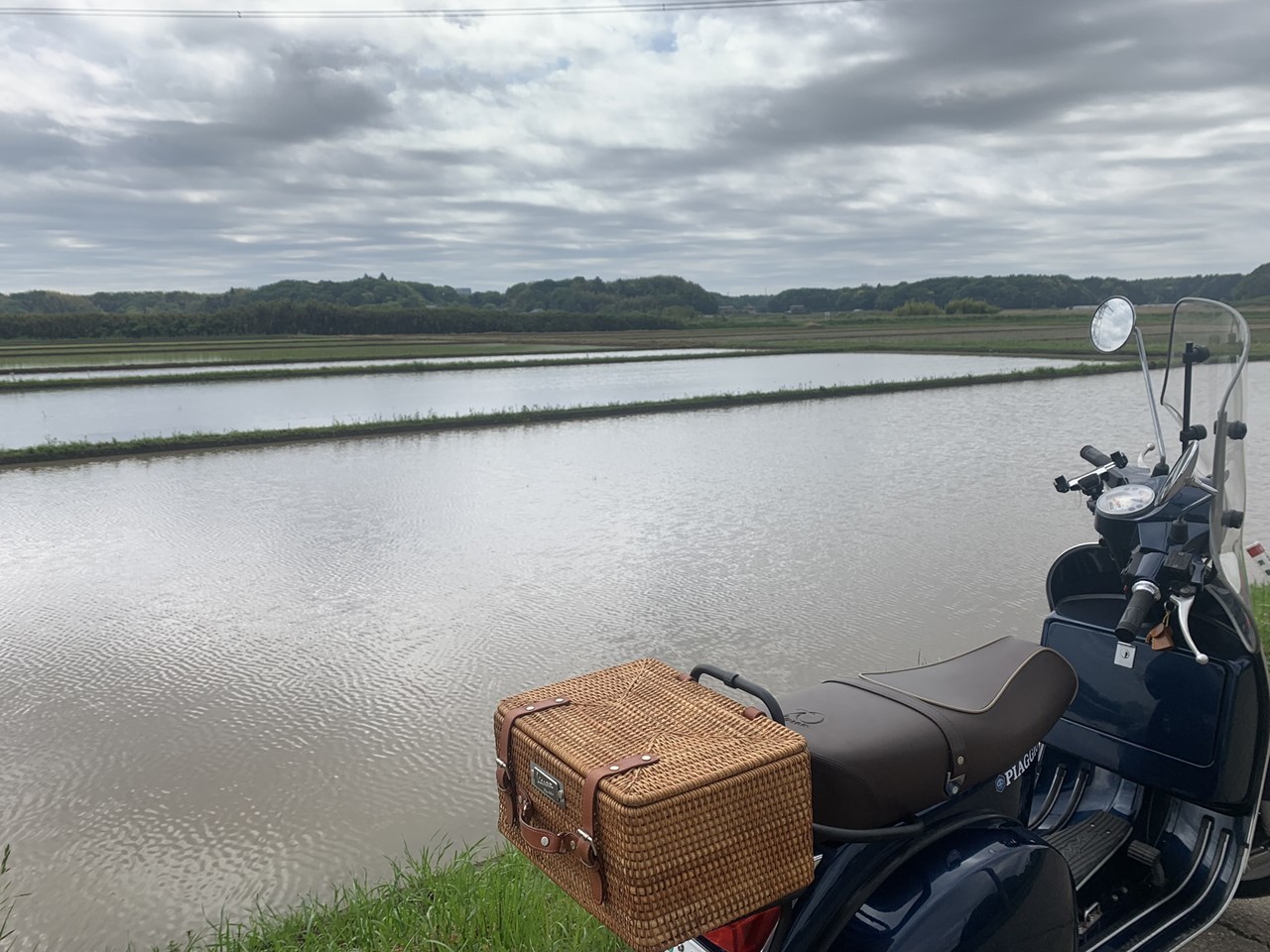 田植えが始まった田んぼの風景