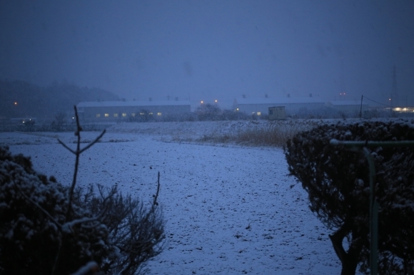 雪に覆われた田んぼの風景
