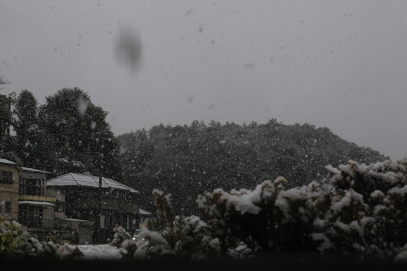 雪が降り始めた朝の様子