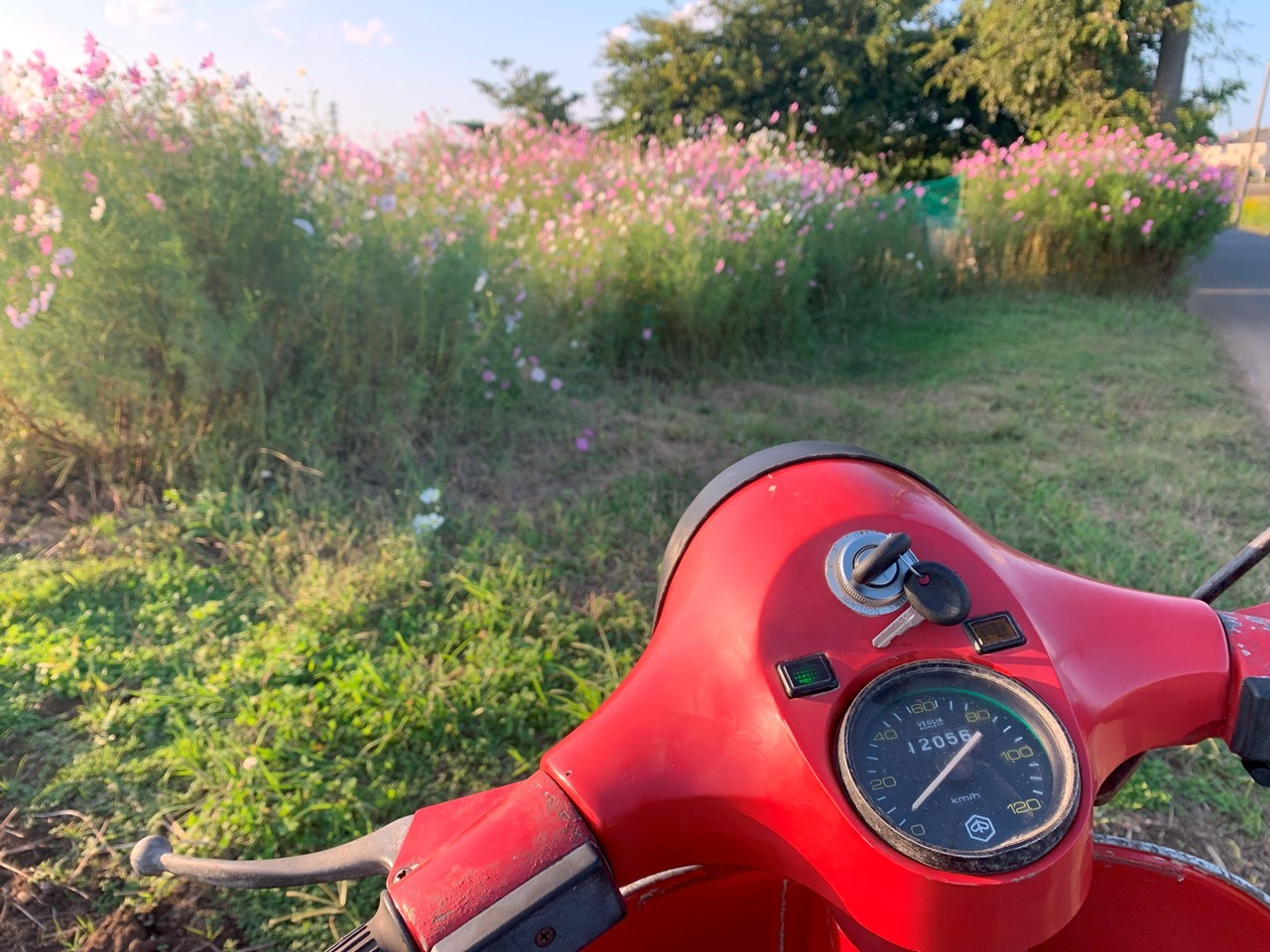 P200Eの試運転シーン(アイキャッチ指定)