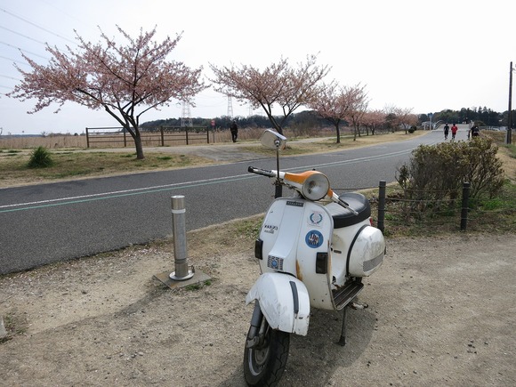 ギア抜け確認中の車両外観