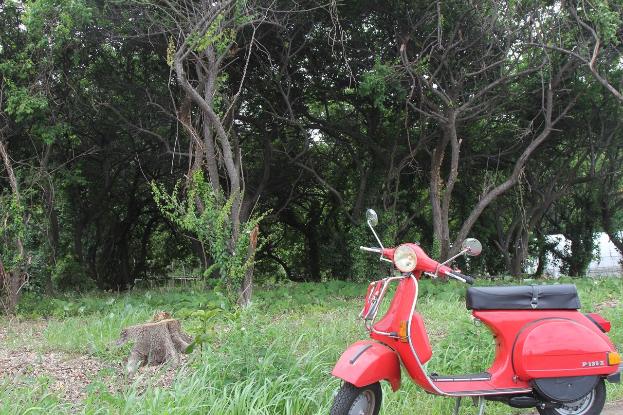 納車前チェック中のP125X