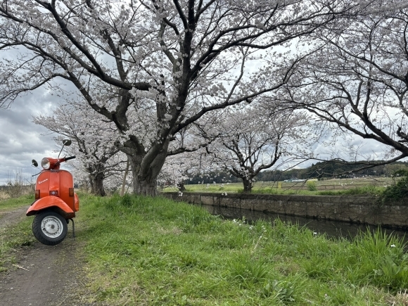 P125Xの中距離試運転
