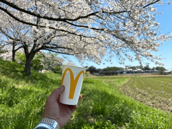 桜を背景にしたお花見風景