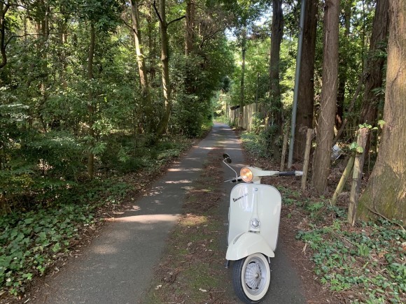 試運転コース途中の森の木陰(アイキャッチ)