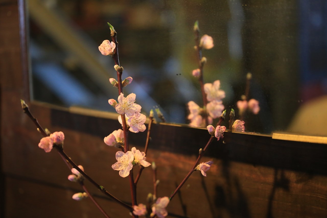 店内に活けられた桃の花が開花した様子