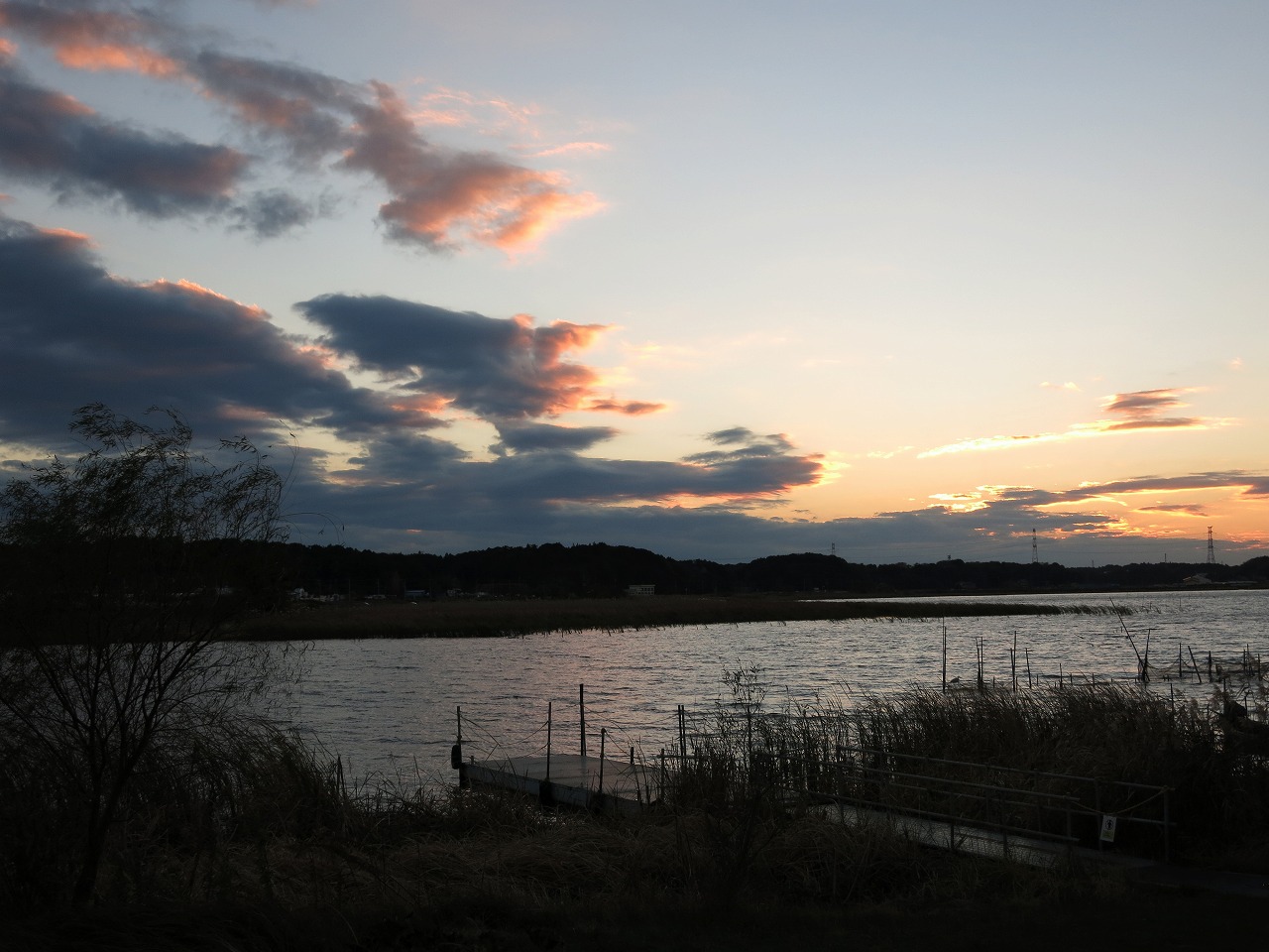 雲に隠れた夕日と沼辺の風景