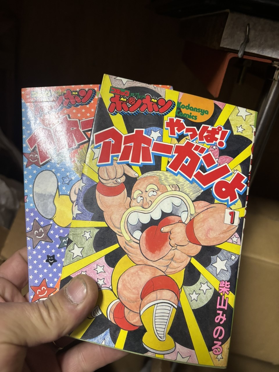 プロレス・格闘技関連の書籍コレクション