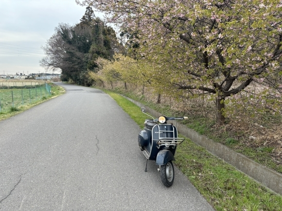 再試運転中のベスパ50s
