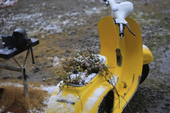 雪が溶けて助かった様子