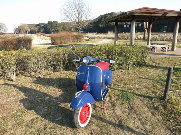 絶好調のベスパ100