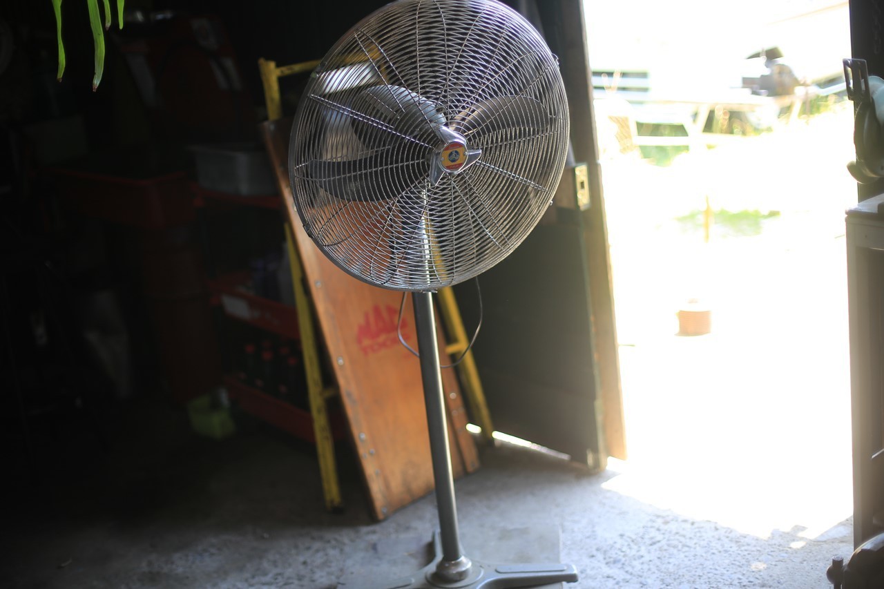 作業場に引っ張り出した扇風機