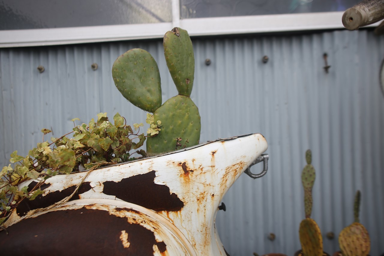 サボテンを植えた植木鉢に転用されたパーツ