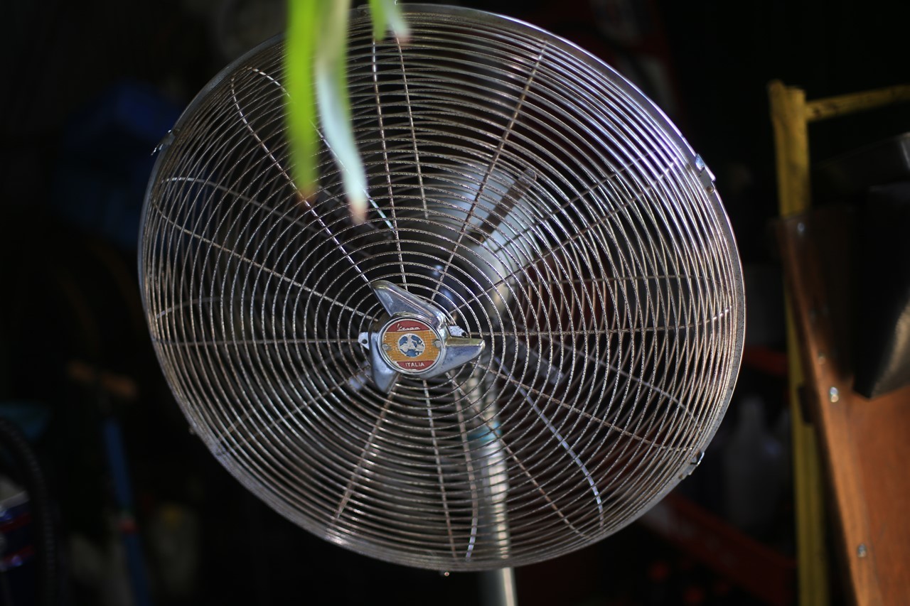 掃除後に始動した扇風機