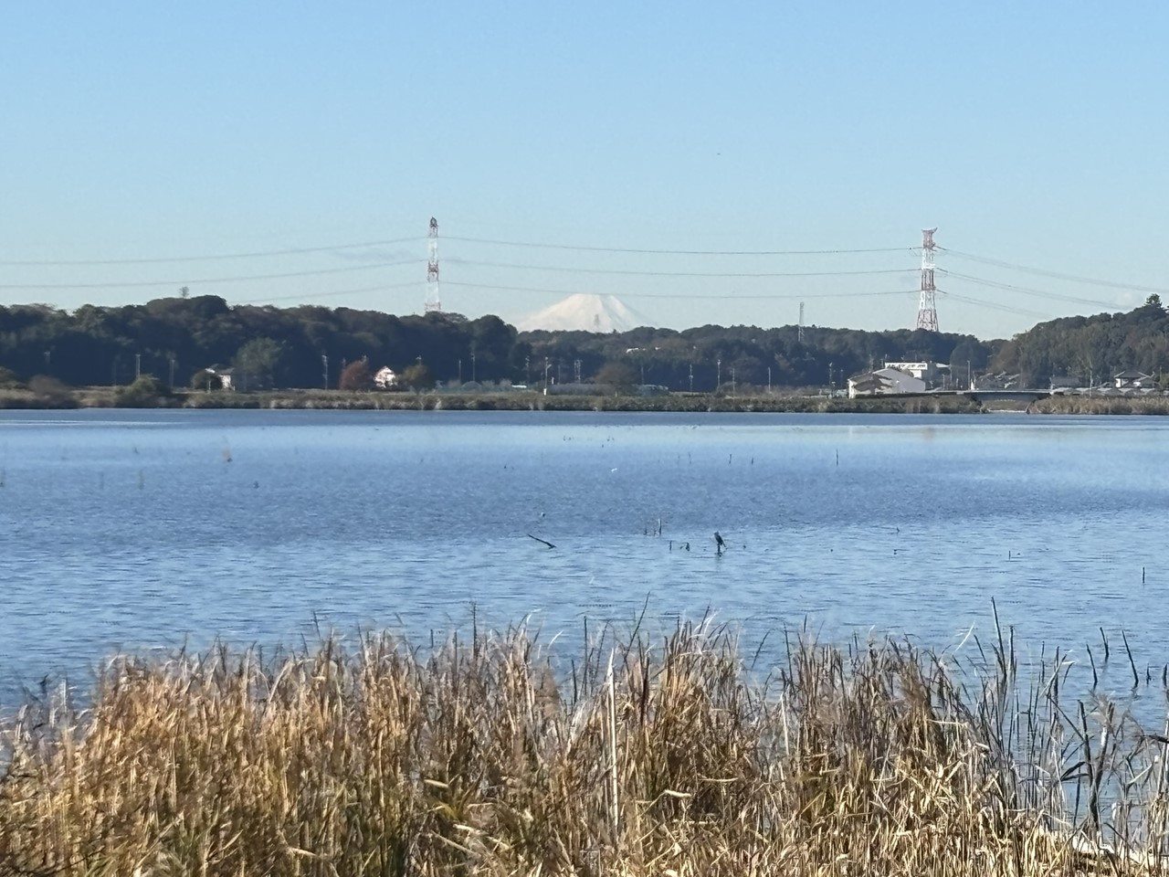 富士山がくっきり見える朝の風景