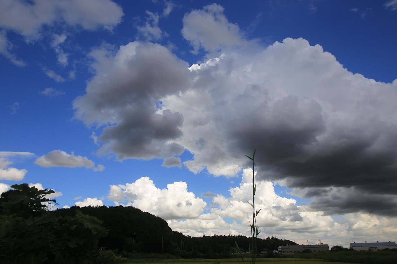 雨を期待した空模様