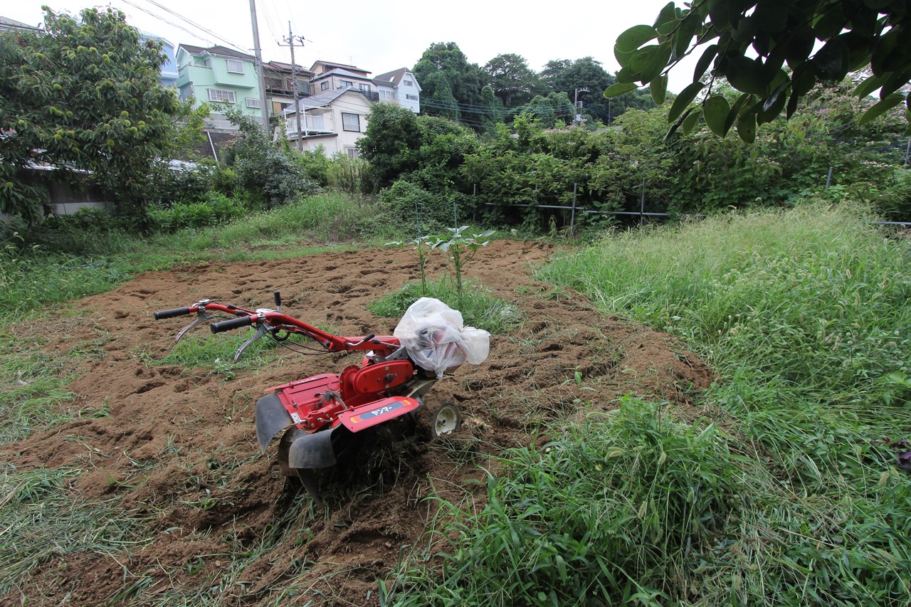 KB農園の草むしり作業の開始前風景