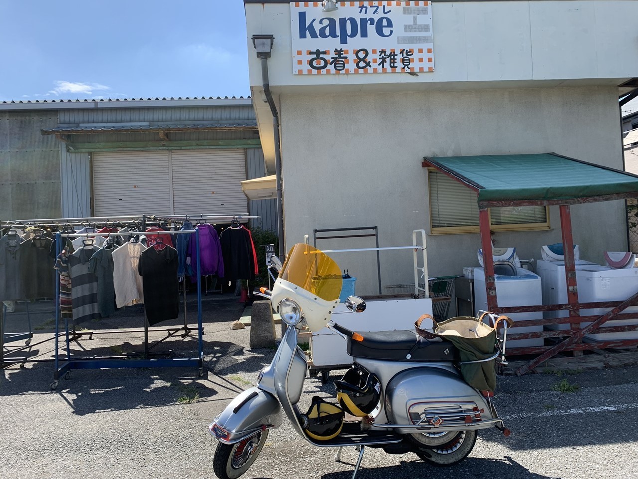 ラリーで散歩に出かけた様子