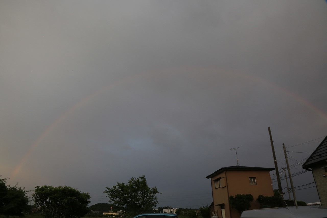 雨上がりの空に現れた虹