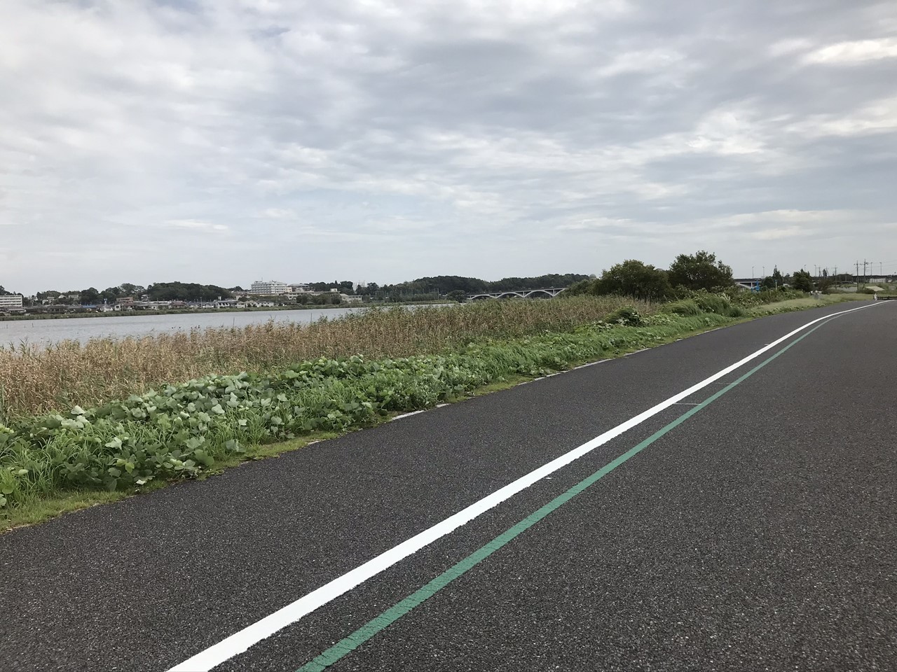 手賀沼の景色