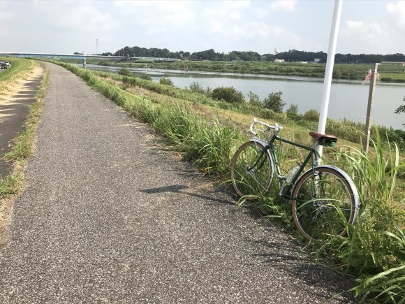 サイクリング中に到達した利根川