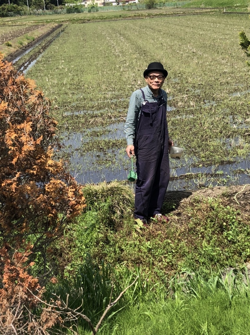 田んぼの水入れで到来したミジンコ採取チャンス