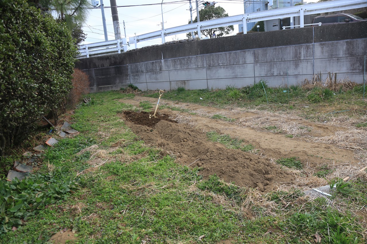 KB農園始動の畑作業