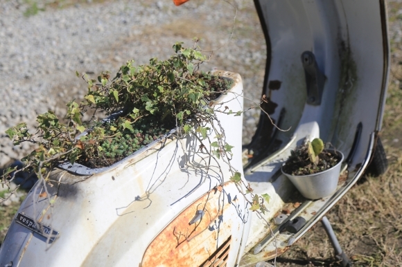 植木鉢として仮復旧された状態