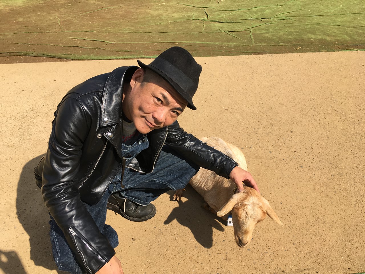 成田ゆめ牧場でヤギと触れ合う様子
