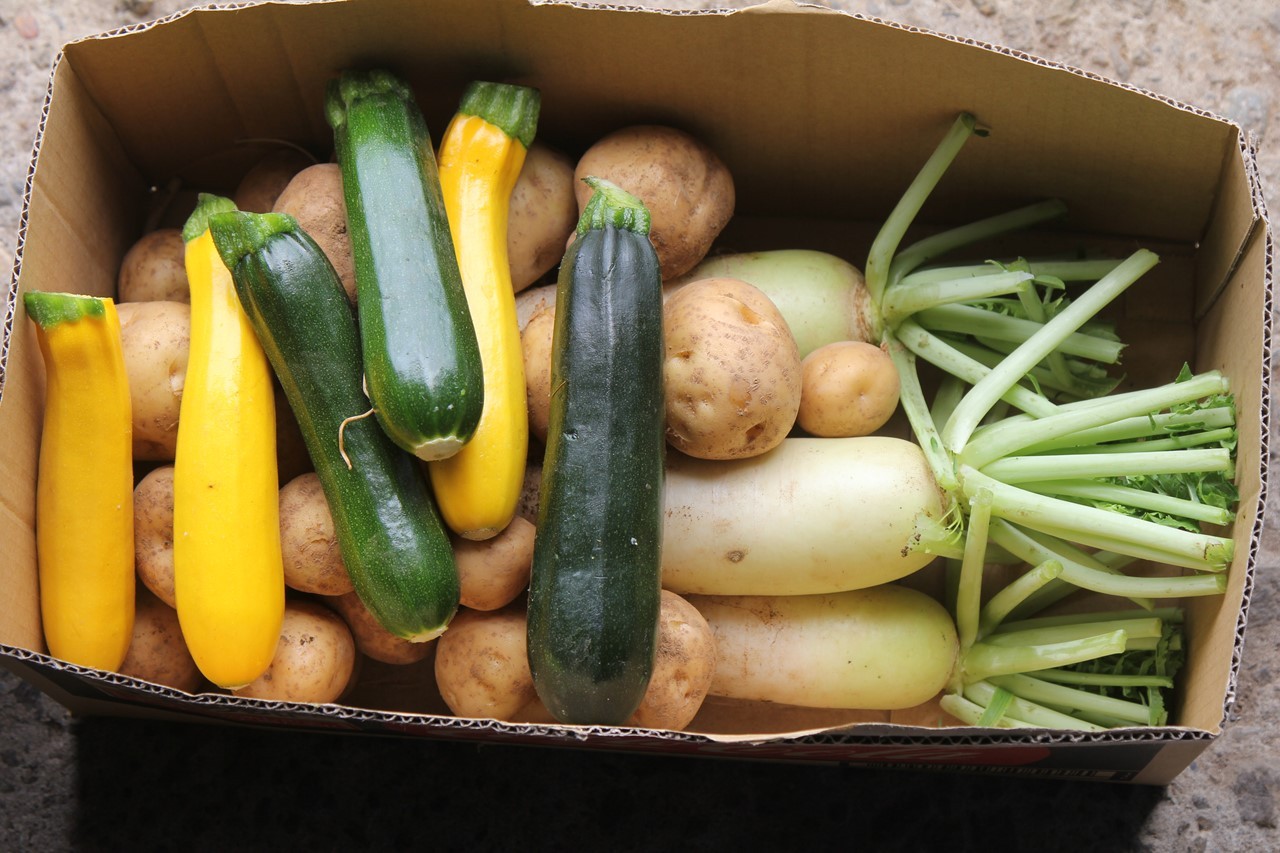 収穫した野菜を箱詰めした様子