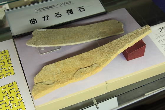 こんにゃく石の展示