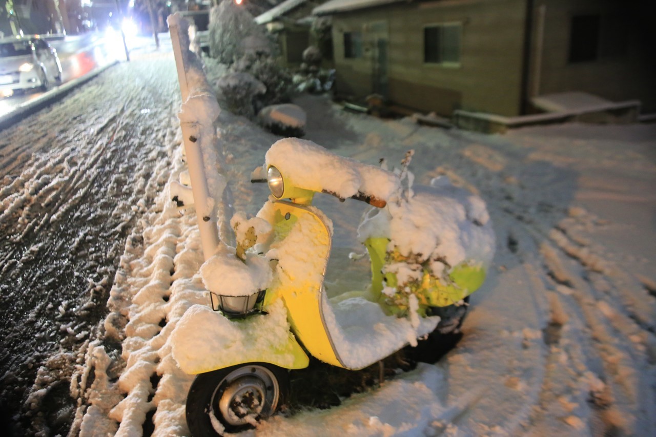 雪が降り積もるベスパの様子
