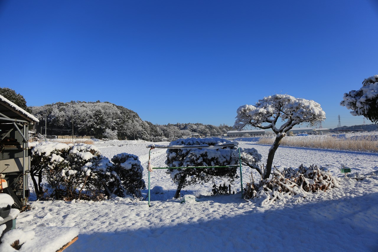 店の回りが雪で覆われた様子