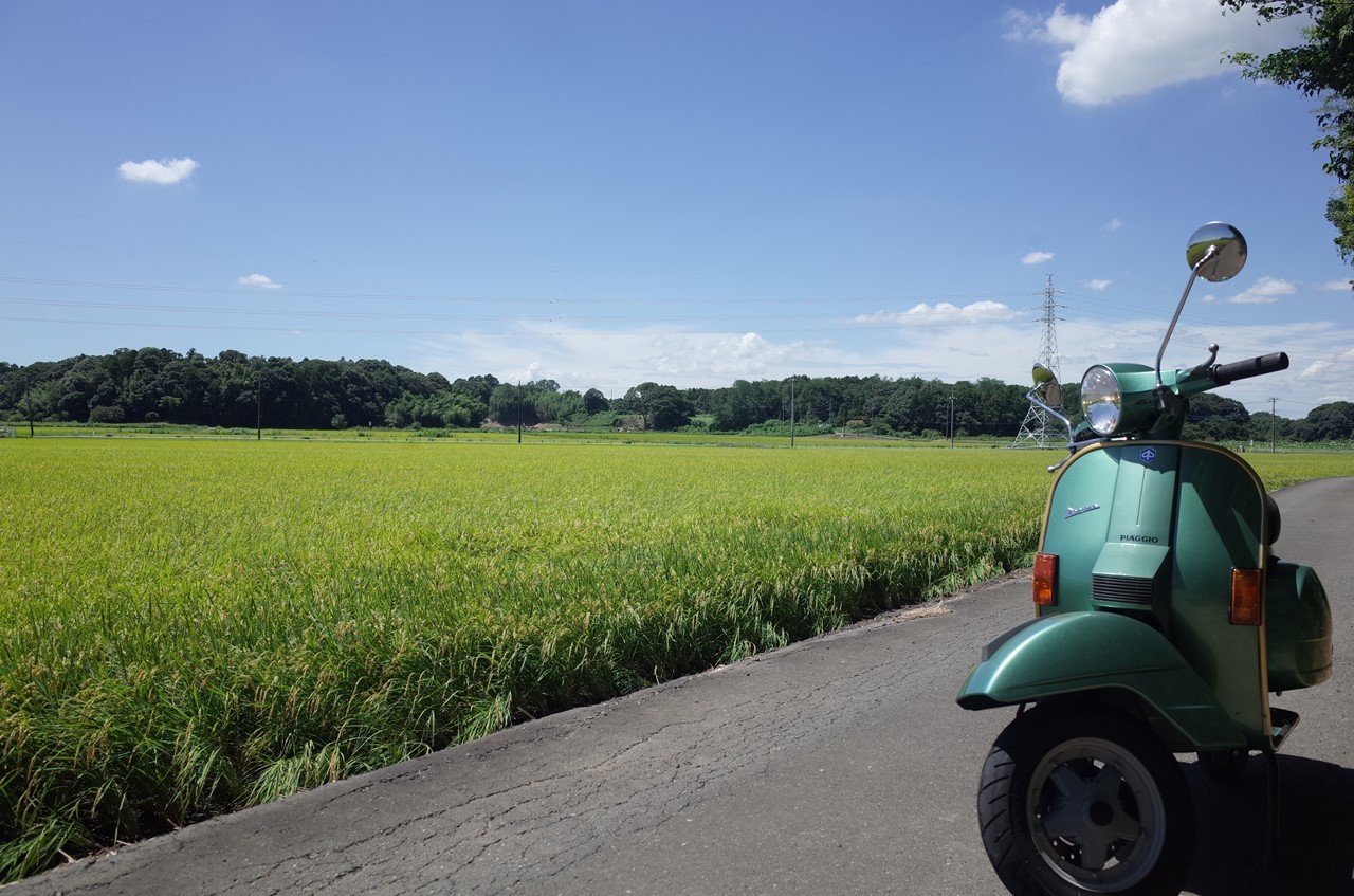 PX200FL1での中距離試運転の様子