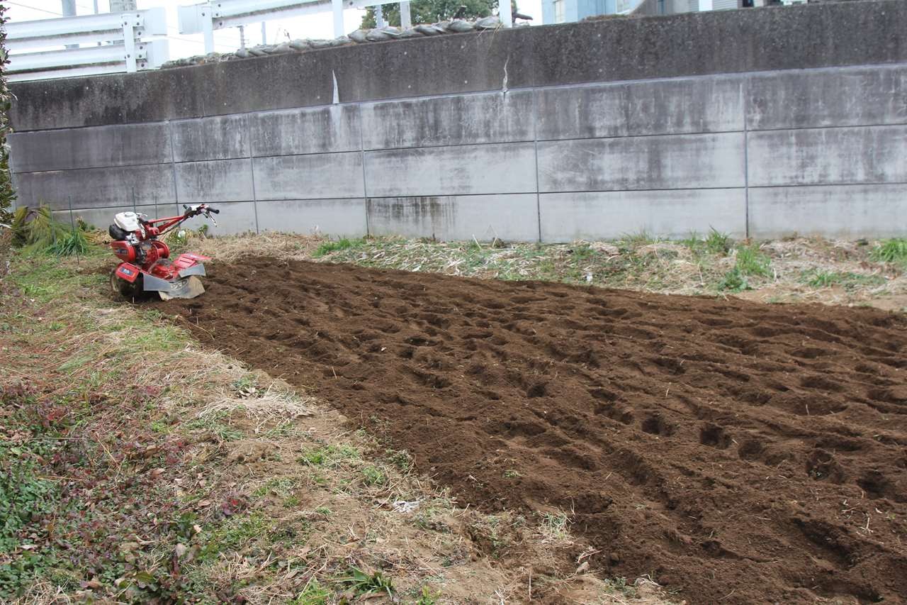 赤い耕運機を操作する様子